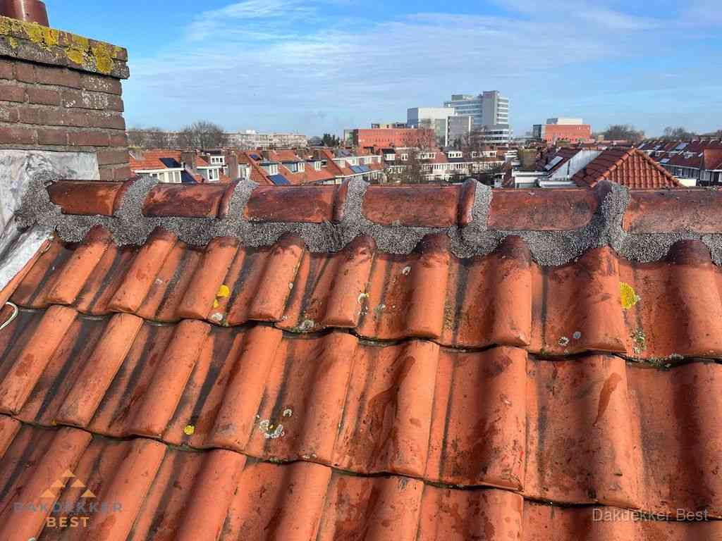 Best Daken Renoveren