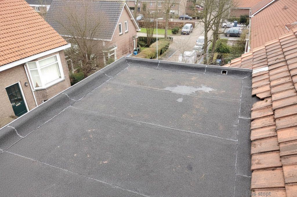 Dakdekker In Najaar Best