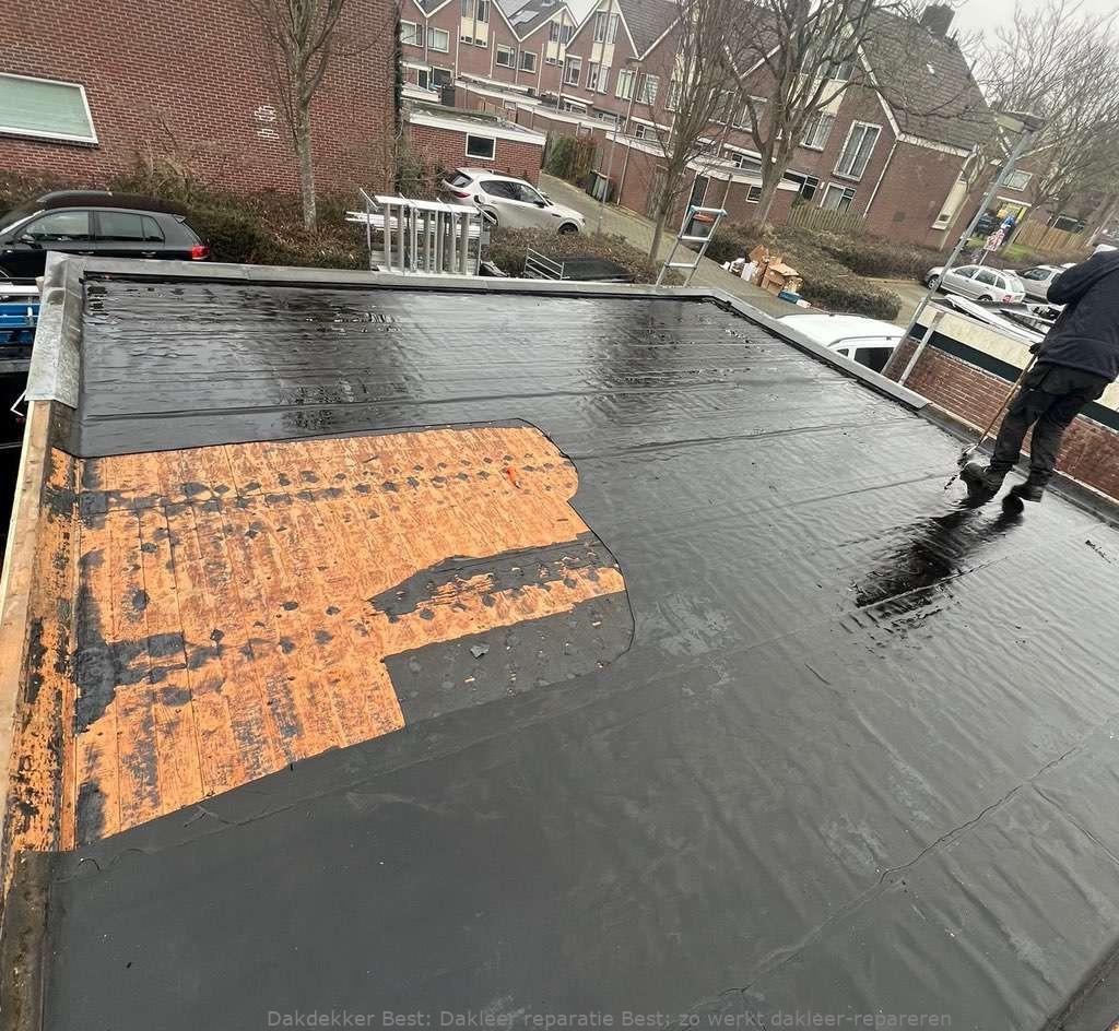 Dakleer Reparatie Best