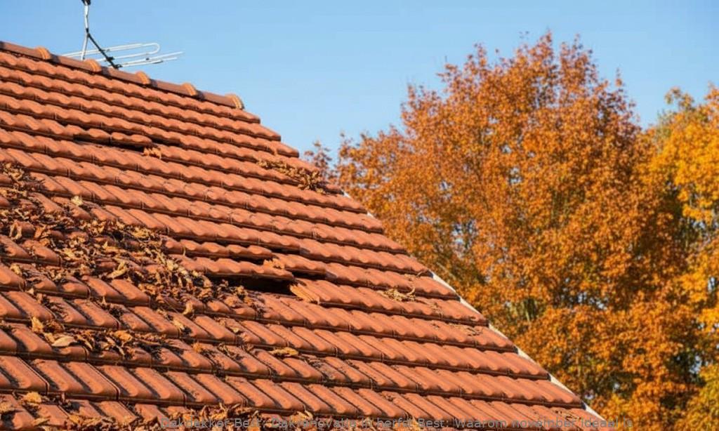 Dakrenovatie In Herfst Best