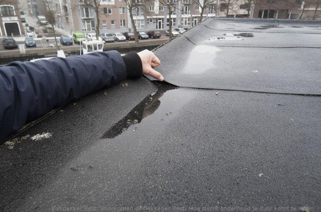 Voorkomen Daklekkages Best